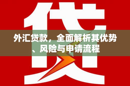 香港岛外汇贷款，全面解析其优势、风险与申请流程