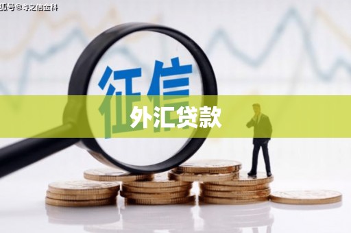 香港岛外汇贷款