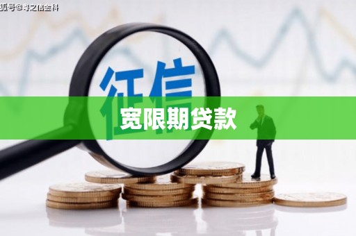 香港岛宽限期贷款