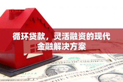 香港岛循环贷款，灵活融资的现代金融解决方案