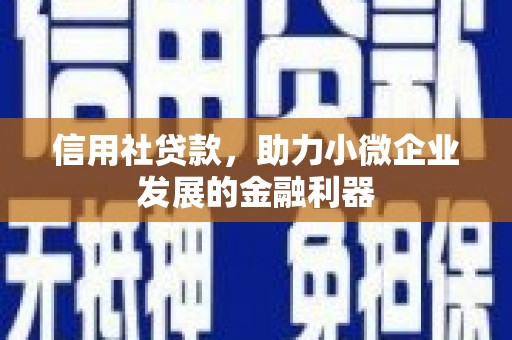 香港岛信用社贷款，助力小微企业发展的金融利器