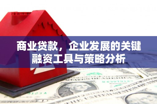香港岛商业贷款，企业发展的关键融资工具与策略分析