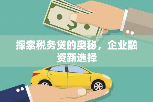 香港岛探索税务贷的奥秘，企业融资新选择