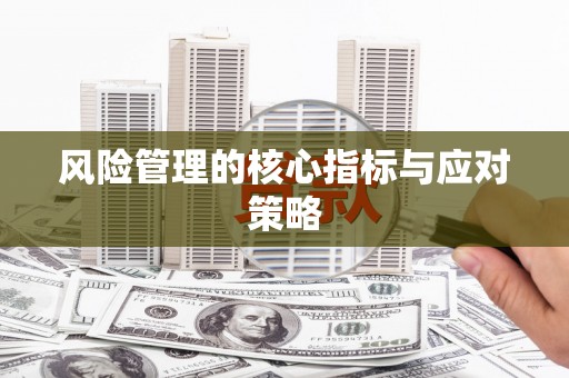 香港岛风险管理的核心指标与应对策略