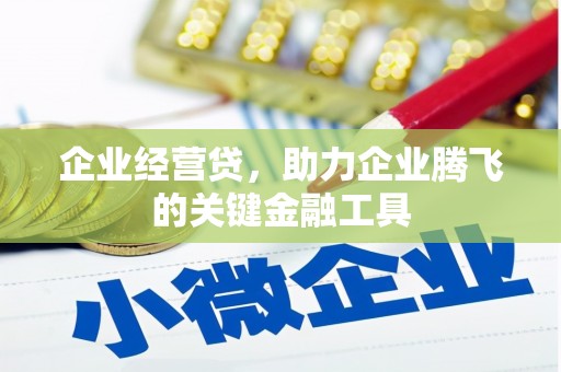香港岛企业经营贷，助力企业腾飞的关键金融工具