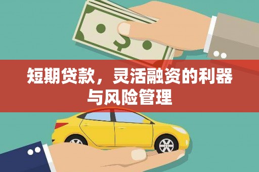 香港岛短期贷款，灵活融资的利器与风险管理