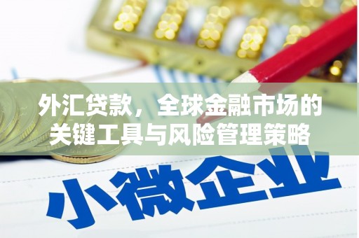 香港岛外汇贷款，全球金融市场的关键工具与风险管理策略