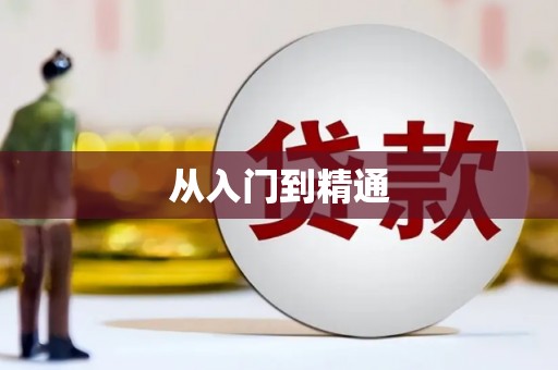 香港岛从入门到精通