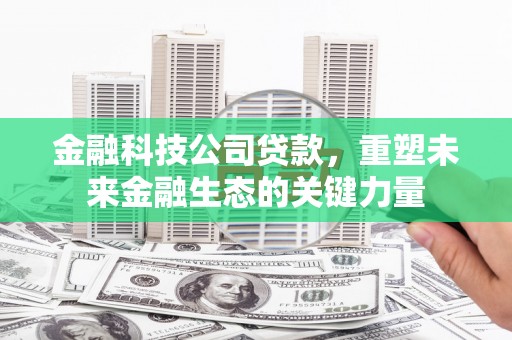 香港岛金融科技公司贷款，重塑未来金融生态的关键力量