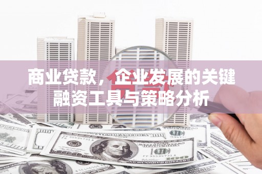 香港岛商业贷款，企业发展的关键融资工具与策略分析