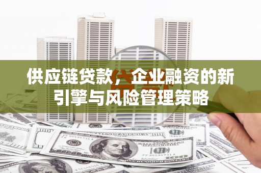 香港岛供应链贷款，企业融资的新引擎与风险管理策略