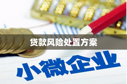 香港岛贷款风险处置方案