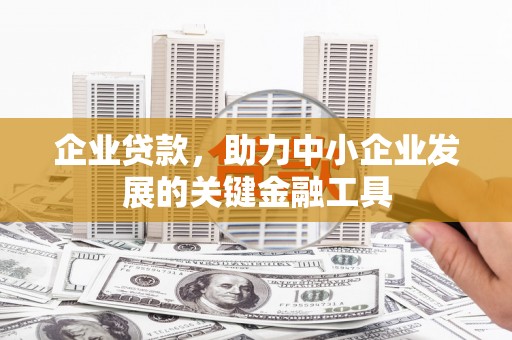 香港岛企业贷款，助力中小企业发展的关键金融工具