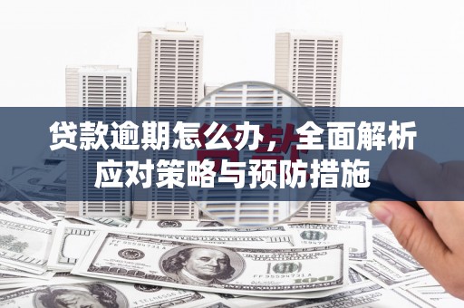 香港岛贷款逾期怎么办，全面解析应对策略与预防措施
