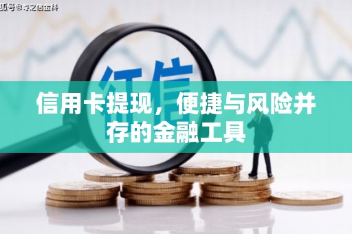 香港岛信用卡提现，便捷与风险并存的金融工具