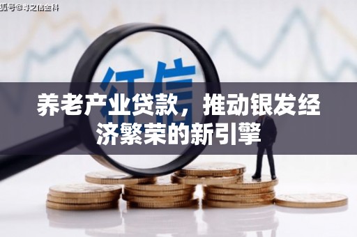 香港岛养老产业贷款，推动银发经济繁荣的新引擎