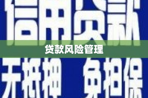 香港岛贷款风险管理