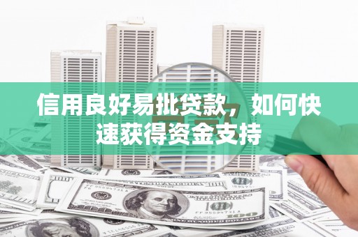 香港岛信用良好易批贷款，如何快速获得资金支持