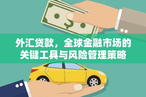 香港岛外汇贷款，全球金融市场的关键工具与风险管理策略