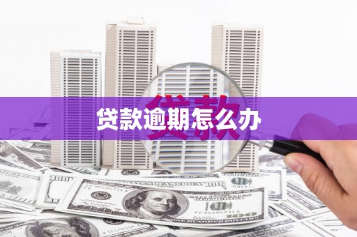 香港岛贷款逾期怎么办