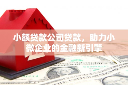 香港岛小额贷款公司贷款，助力小微企业的金融新引擎