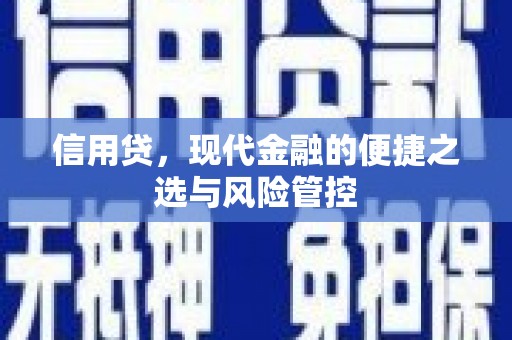 香港岛信用贷，现代金融的便捷之选与风险管控