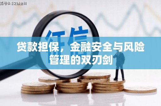 香港岛贷款担保，金融安全与风险管理的双刃剑