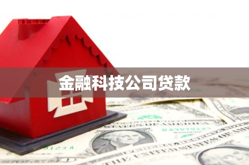 香港岛金融科技公司贷款