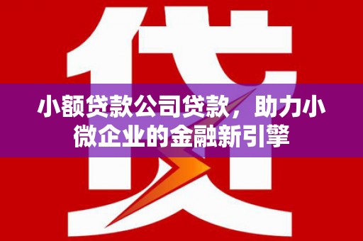 香港岛小额贷款公司贷款，助力小微企业的金融新引擎