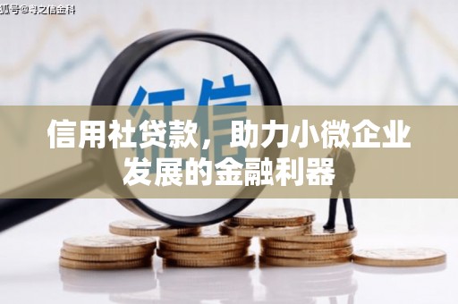香港岛信用社贷款，助力小微企业发展的金融利器