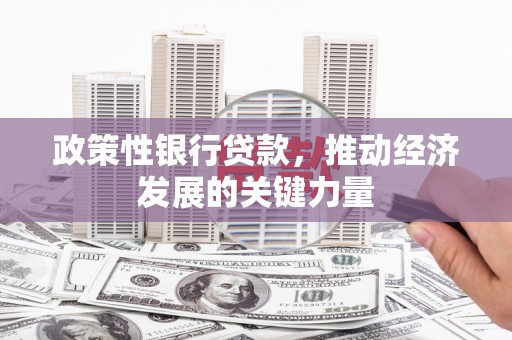 香港岛政策性银行贷款，推动经济发展的关键力量