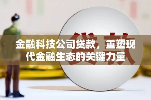 香港岛金融科技公司贷款，重塑现代金融生态的关键力量