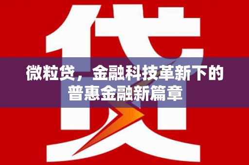 香港岛微粒贷，金融科技革新下的普惠金融新篇章