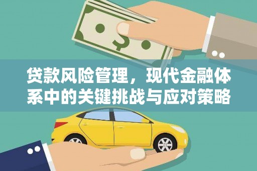 香港岛贷款风险管理，现代金融体系中的关键挑战与应对策略