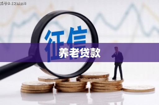香港岛养老贷款