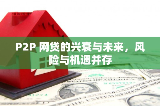 香港岛P2P 网贷的兴衰与未来，风险与机遇并存