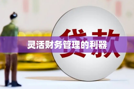 香港岛灵活财务管理的利器