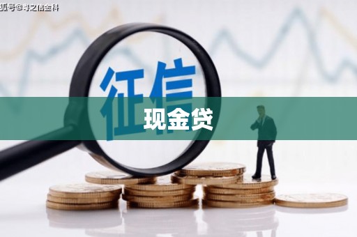 香港岛现金贷