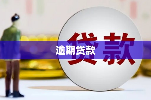 香港岛逾期贷款